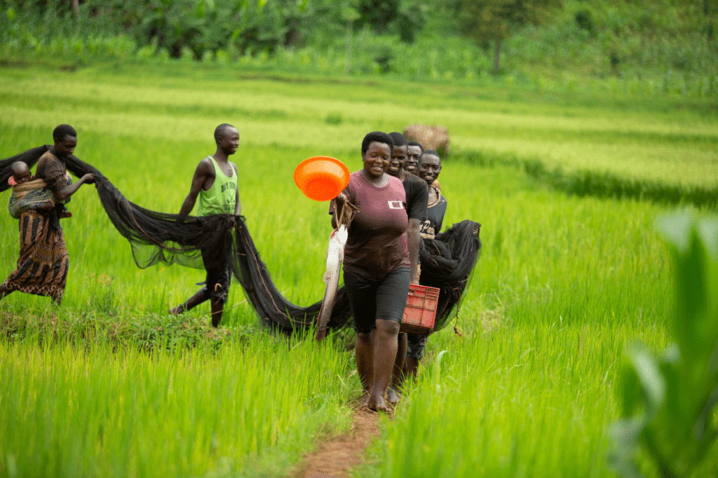 De visdroom van Kirundo (Burundi)