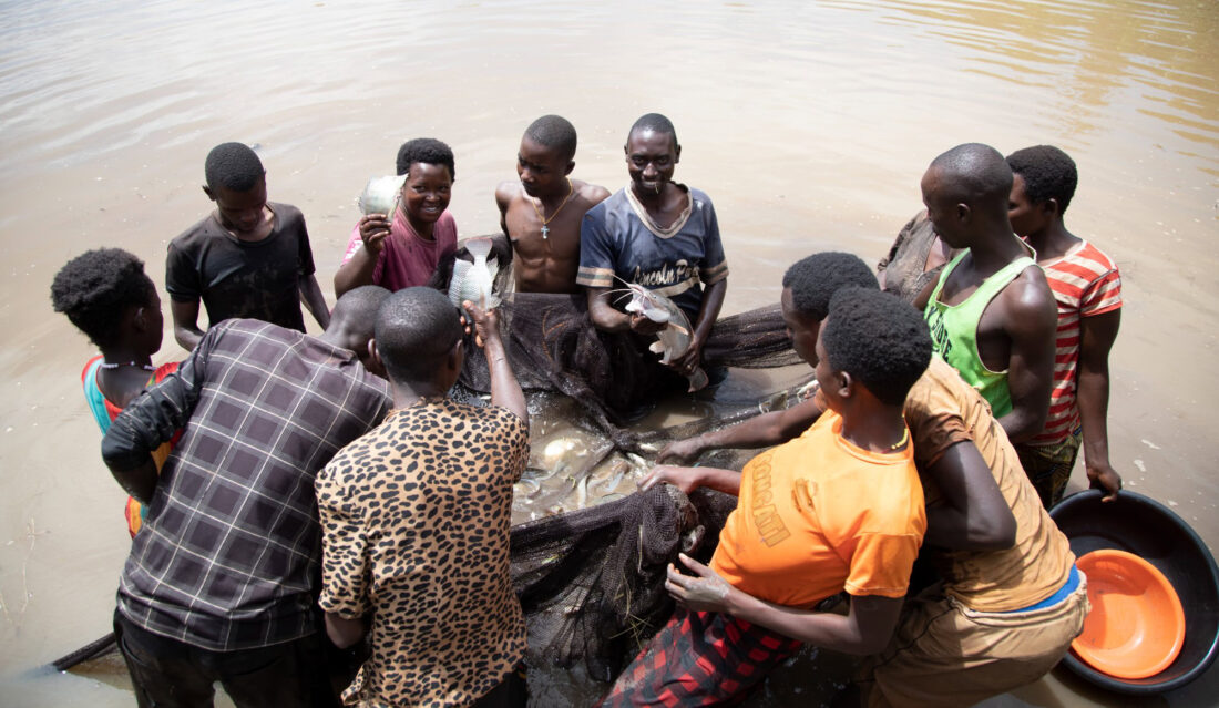 De visdroom van Kirundo (Burundi)