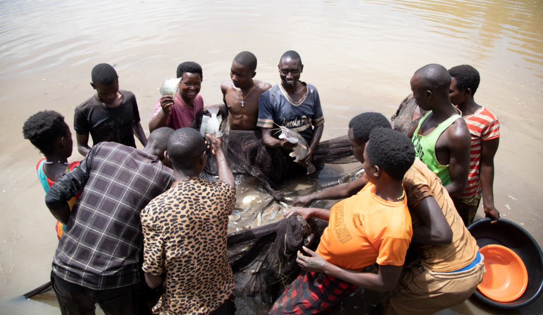 De visdroom van Kirundo (Burundi)