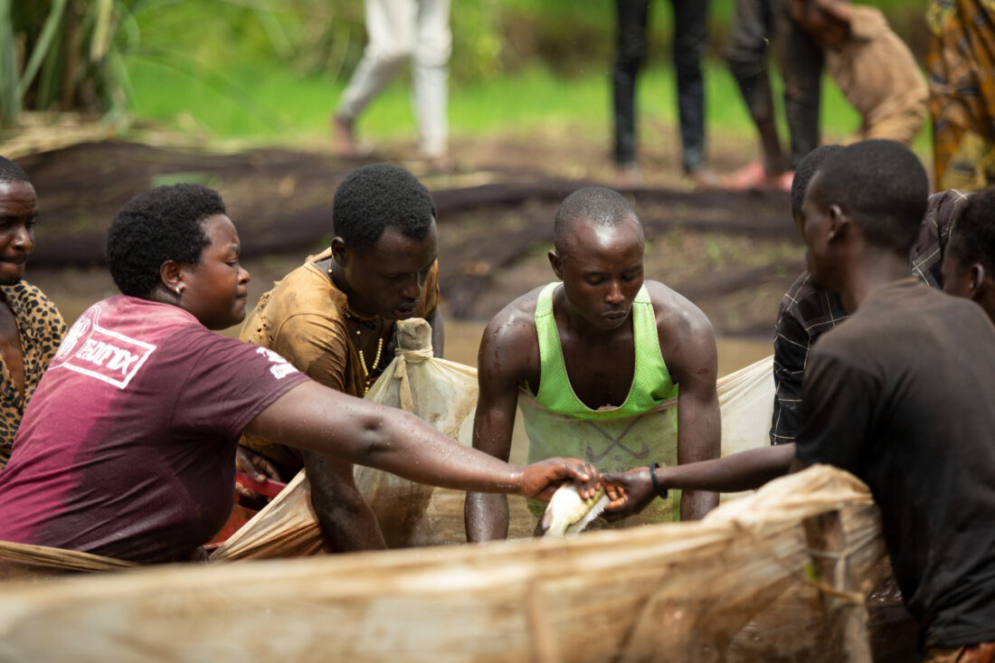 De visdroom van Kirundo (Burundi)