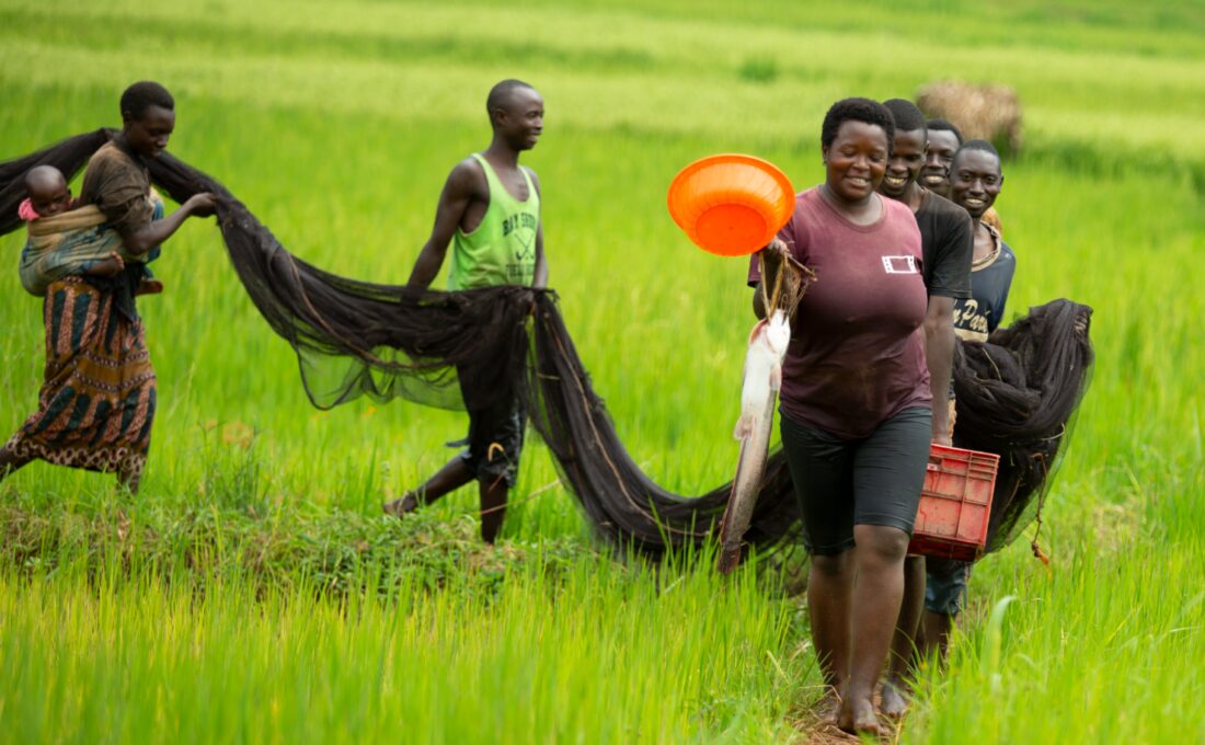 De visdroom van Kirundo (Burundi)